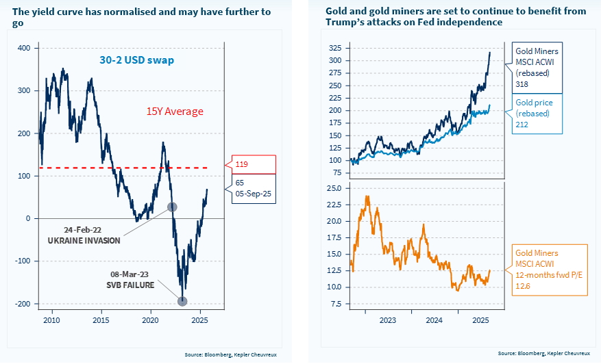 The weakening job market and the lack of fiscal discipline in the US may further fuel curve steepeners and precious metals